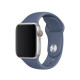 Ремінець Apple Watch 42mm (S) Sport Band Alaskan Blue