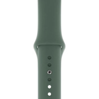 Ремешок Apple Watch 42mm (S) Sport Band Pine Green