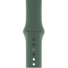 Ремінець Apple Watch 42mm (S) Sport Band Pine Green